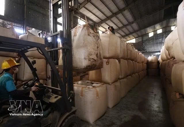 Roasted coffee exports to Thailand rise as demand shifts to premium brews